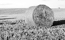 agri_bottom_right